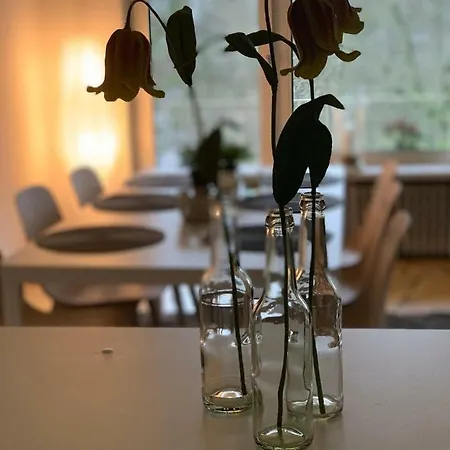 Ferienwohnung Parkblick Bremen Buitenkant foto