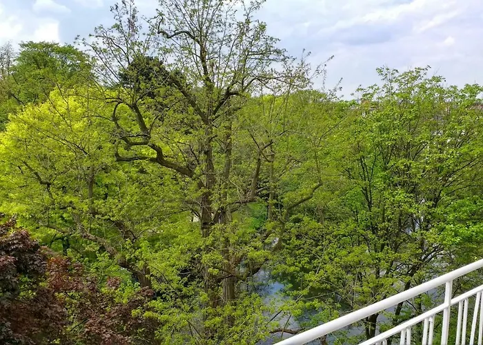 Ferienwohnung Parkblick