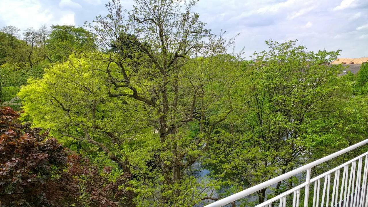 Parkblick